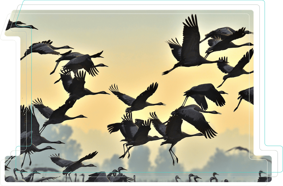 Example page hero image